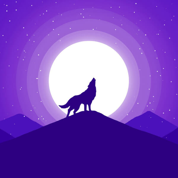 Cá Vàng Ryukin Fancy 12-18cm - ảnh 3